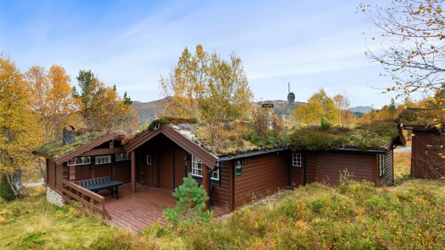 Fasade av hytte, anneks og flott uteområde