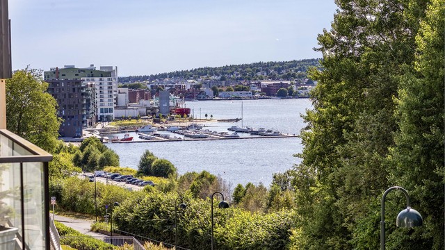 I Røysveien kan du bo med gangavstand til byen og flott utsikt til Mossesundet, i tilbaketrukne og rolige omgivelser nær marka.