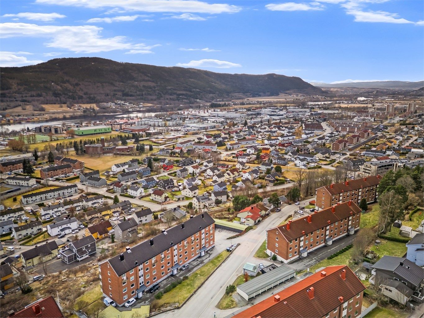 Dagligvarebutikker i nærområdet - nærmeste er i kort gangavstand fra leiligheten