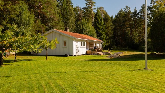I hagen kan du plukke egne moreller i sesong. Hagen har også stort potensial og mange muligheter for deg som vil opparbeide ytterligere.
