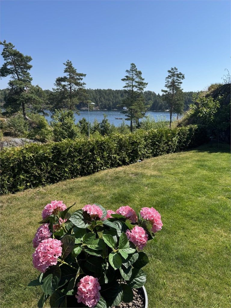 Uteområdet er en solrik og privat sone med utsikt mot fjorden.