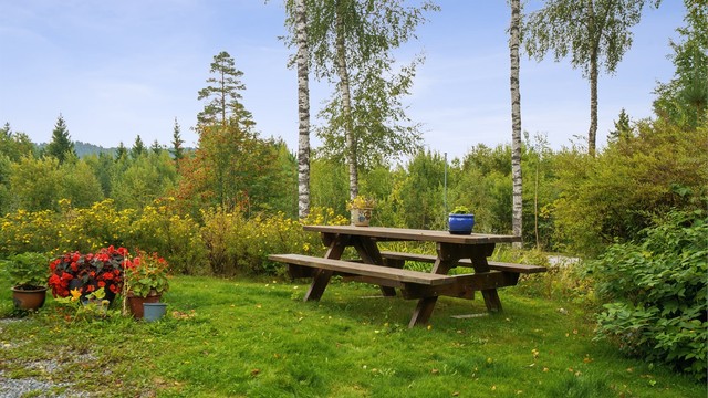 Felles uteområde.