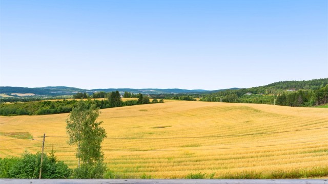 Utsikt over bølgende jorder og skogkledde åser.