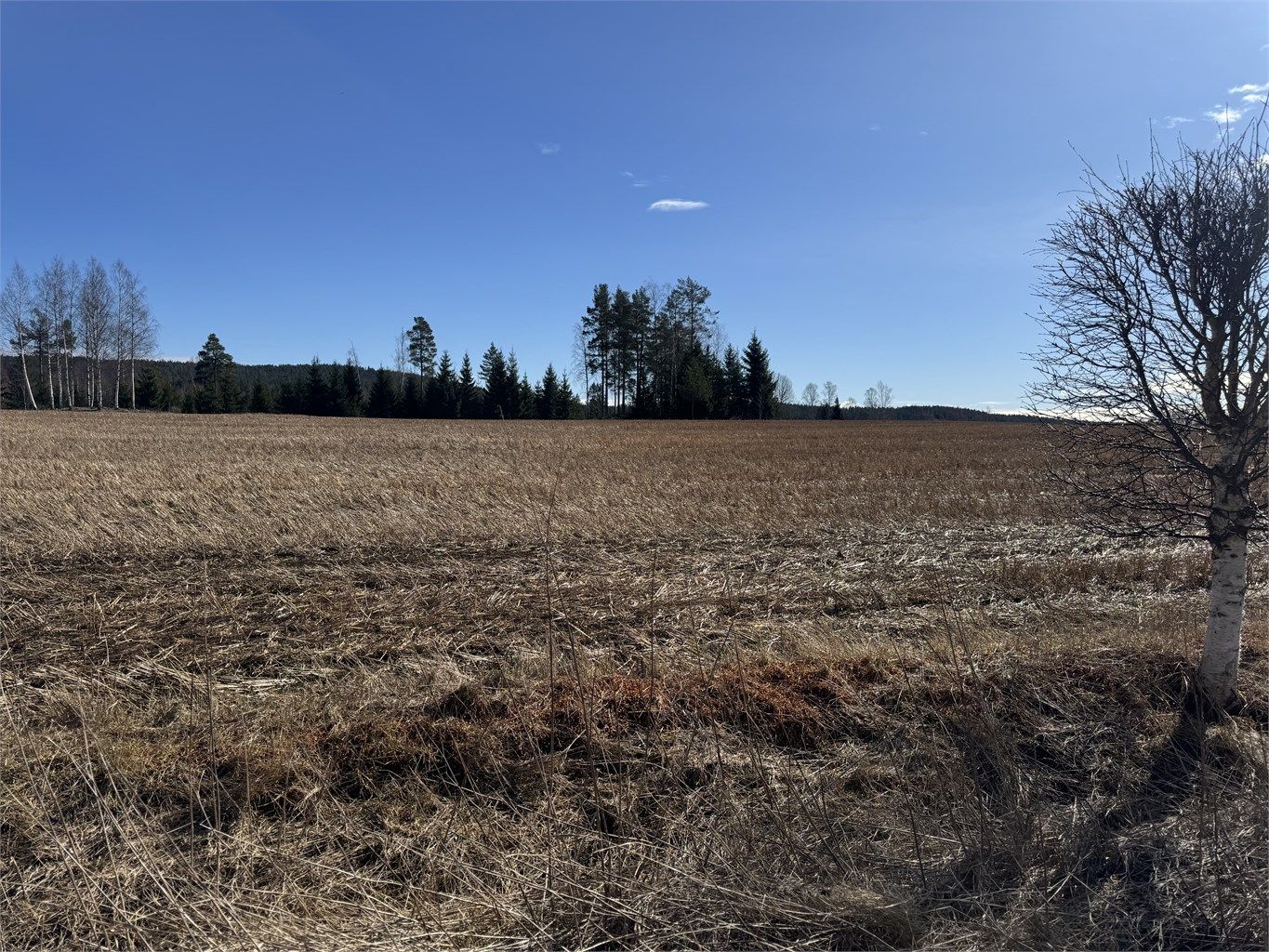 Eiendommen har en fredelig og landlig beliggenhet med nærhet til natur.