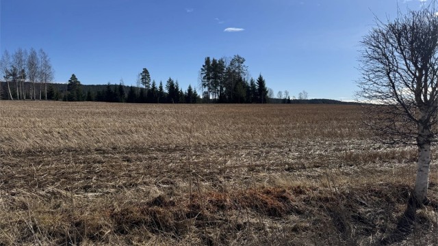 Eiendommen har en fredelig og landlig beliggenhet med nærhet til natur.