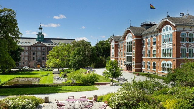Ås er også kjent for det vakre universitetsområdet til NMBU, som byr på flotte parkområder og turveier for rekreasjon.