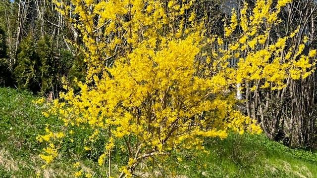 Bilde tatt av selger.