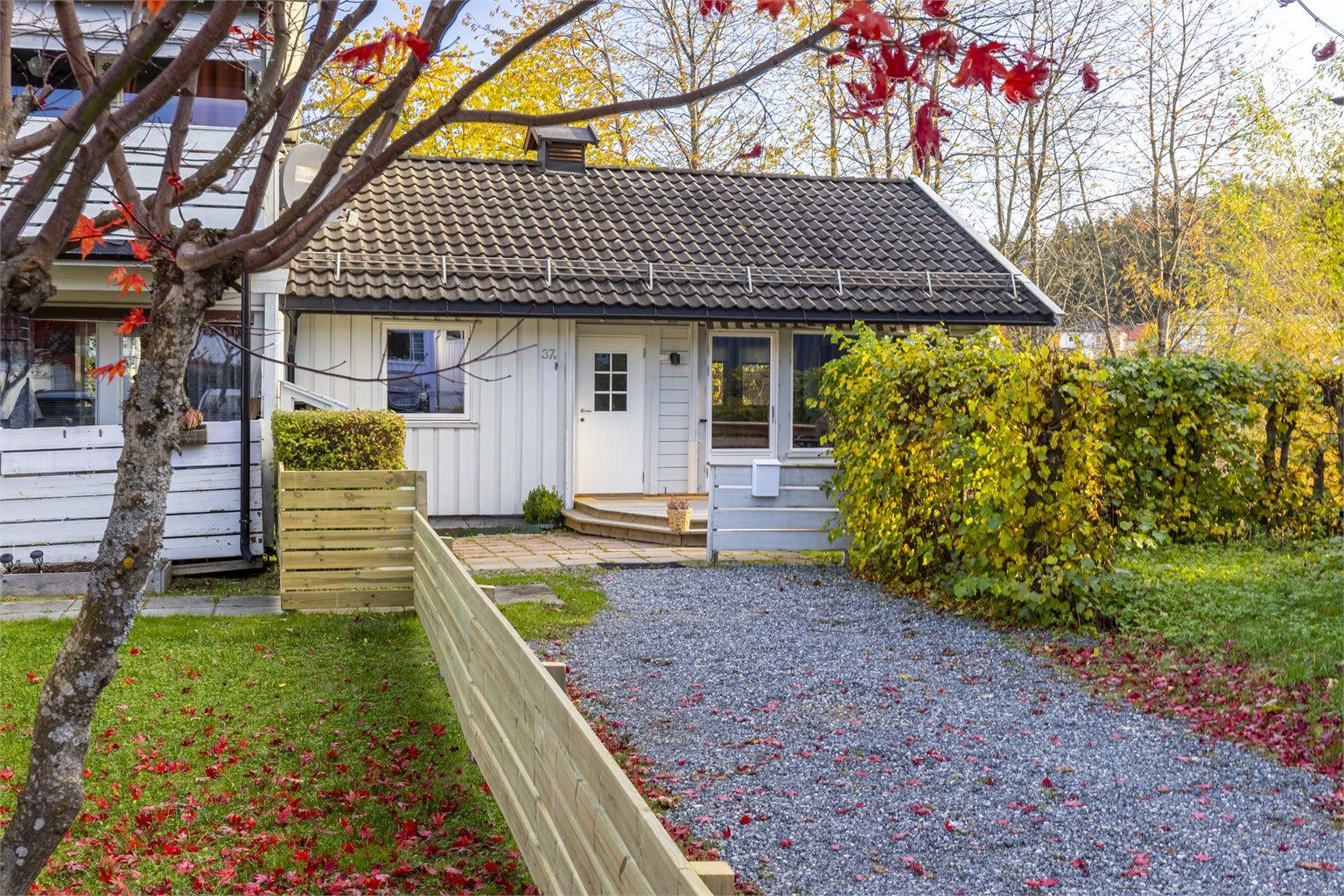 Velkommen til Verven 37B!