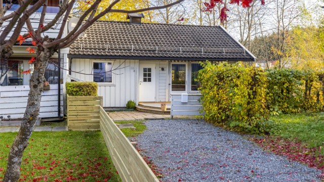 Velkommen til Verven 37B!