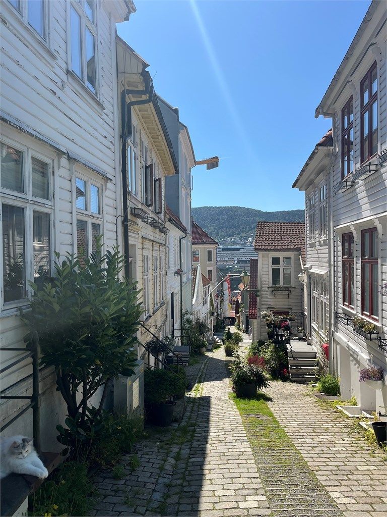Nordnes er kjent for sine små brosteinsbelagte gater og trange smau