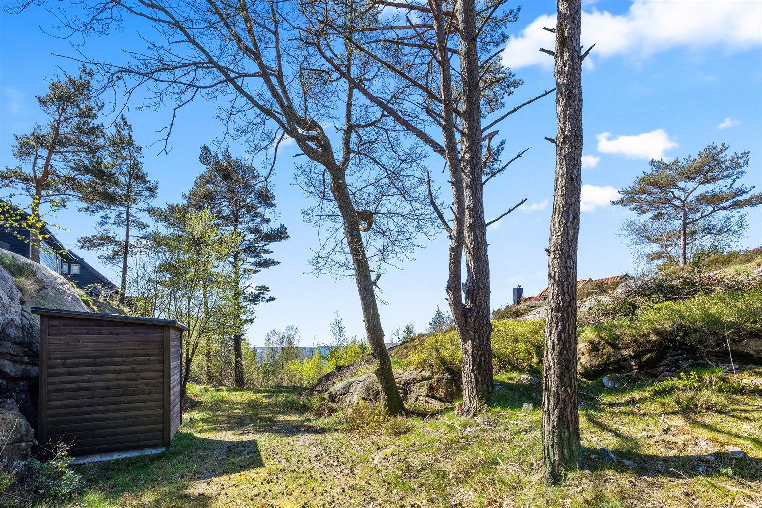 Adkomstvei inn til tomta. Tomta ligger til høyre for pumpehuset.