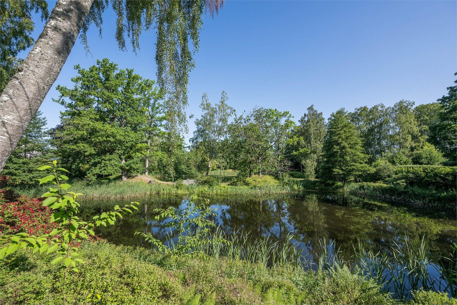 Teieskogen er et yndet turområde med lysløyper for helårsbruk.