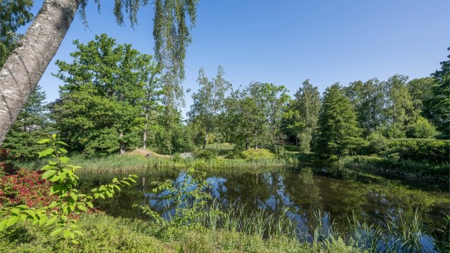 Teieskogen er et yndet turområde med lysløyper for helårsbruk.