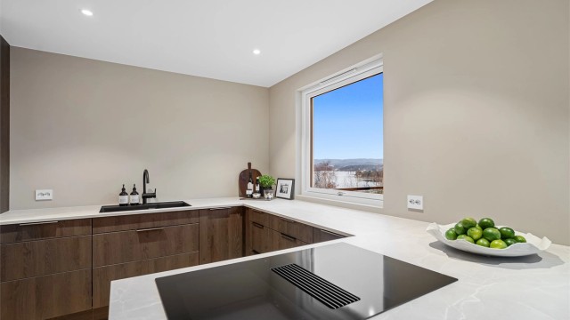 Platetopp med innebygd ventilator