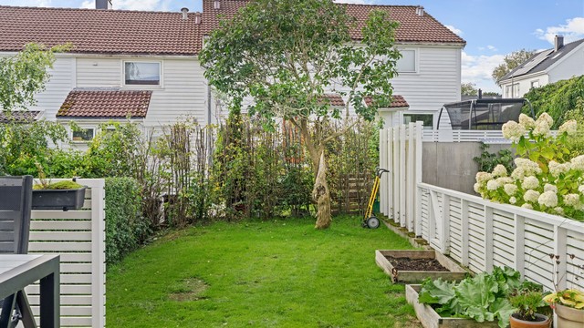 Grønn plen og opparbeidet hage med trær og prydbusker.