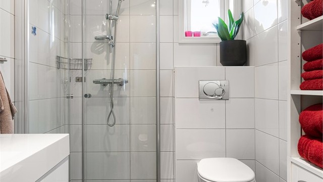 Dusjhjørne med foldbare glassvegger og vegghengt dusjarmatur. Vegghengt toalett