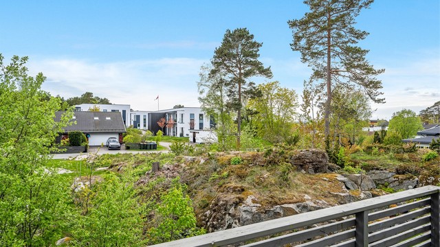 Hyggelige omgivelser.