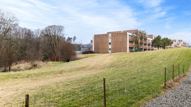 - Utsikt fra terrassen -