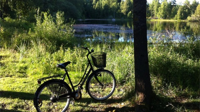 Ta med barna på en helt impulsiv kveldsdukkert ved Bråten (Nøklevann) en deilig varm sommerkveld?