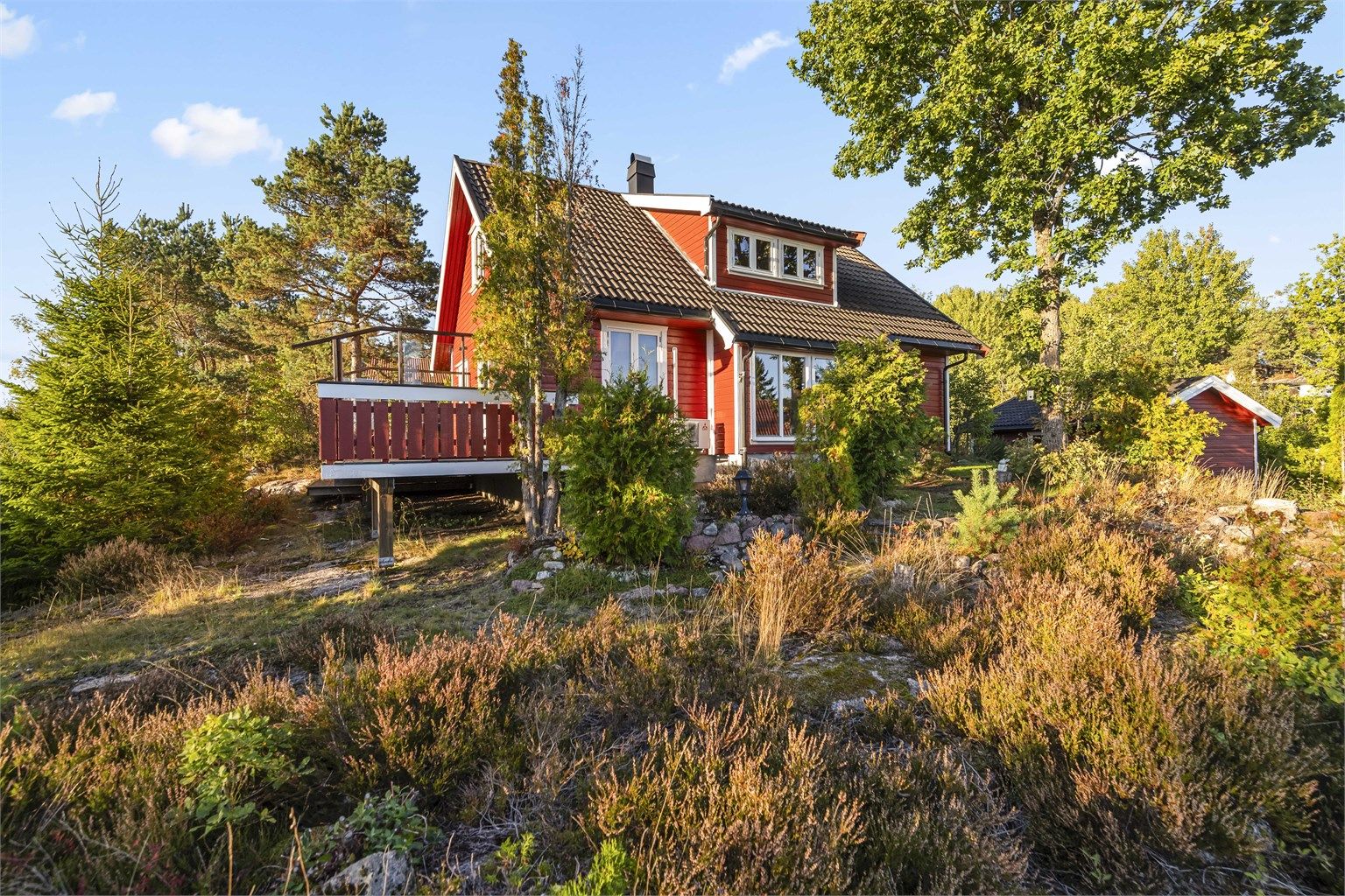 Tomten er stort sett naturtomt omgitt av furutrær og lyng.
