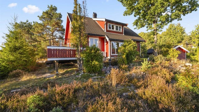 Tomten er stort sett naturtomt omgitt av furutrær og lyng.