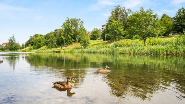 Teglverksdammen byr på fine turveier og rekreasjonsområder i gangavstand fra boligen.