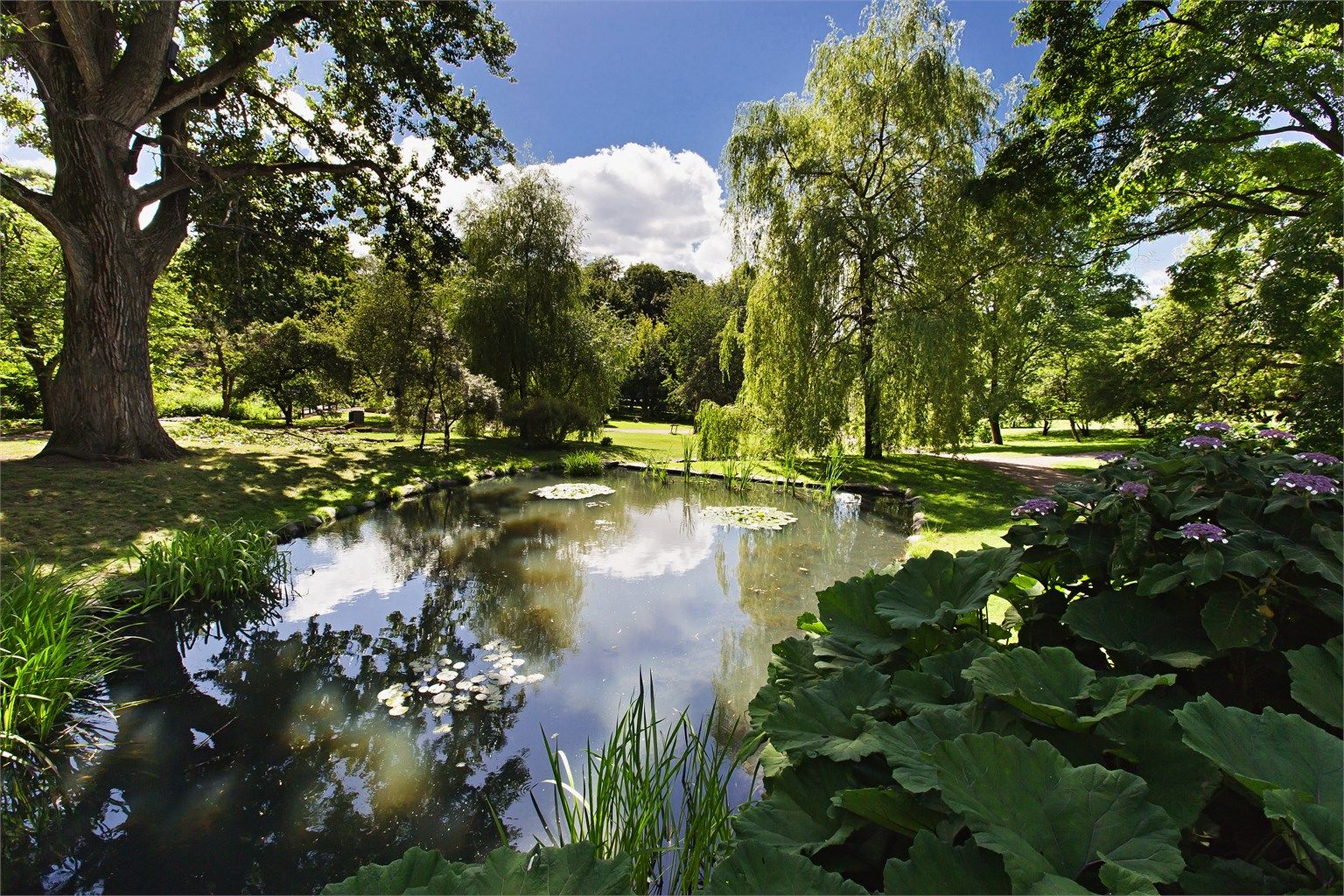 Ola Narr og Tøyenparken er flotte rekreasjonsområder i nærheten.