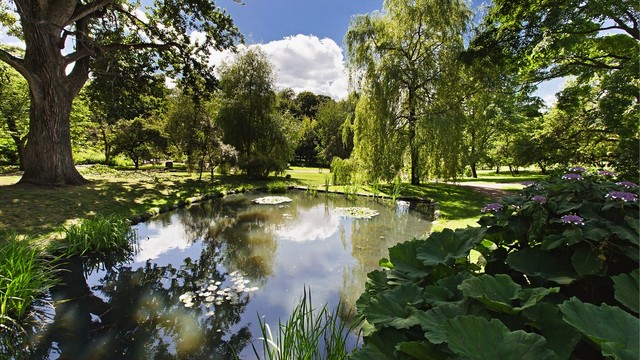 Ola Narr og Tøyenparken er flotte rekreasjonsområder i nærheten.