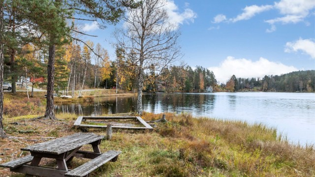 Ved vannkanten ved Bindingsvannet.