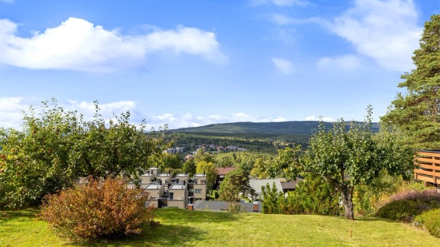 Fantastisk utsikt og meget gode solforhold på terrassen og i hagen