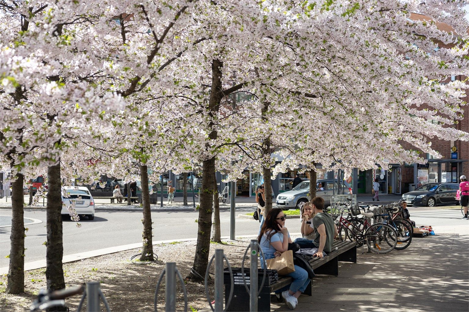 Fra leiligheten er det kort avstand til "alt" man trenger i det daglige. 