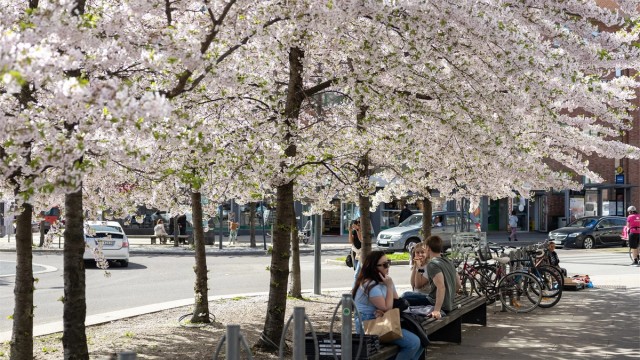 Fra leiligheten er det kort avstand til "alt" man trenger i det daglige.