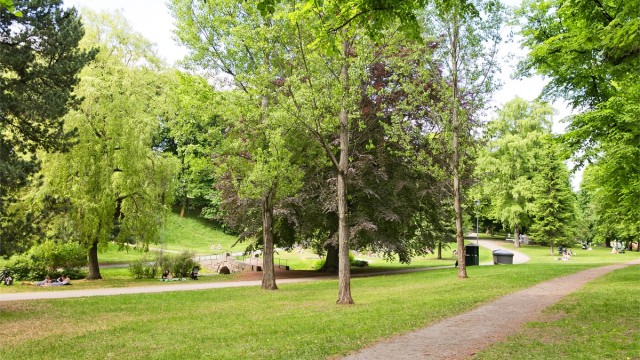 Parken er en av byens største og et populært samlingspunkt med store grøntarealer.