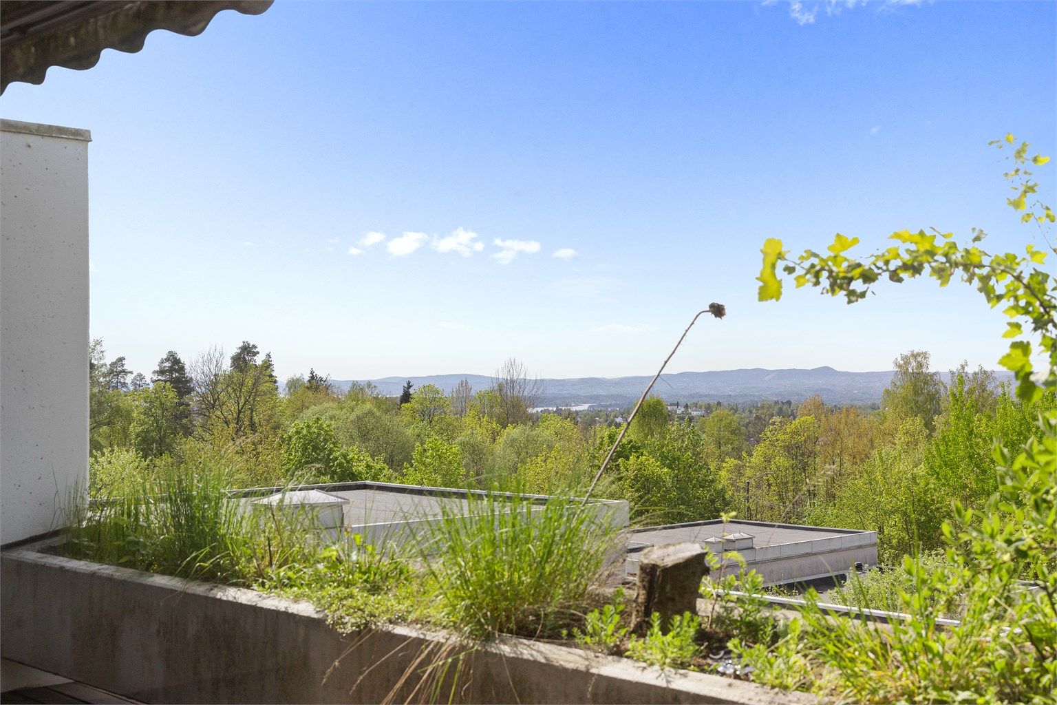 Skjermet og usjenert, med utsyn mot frodig vegetasjon.