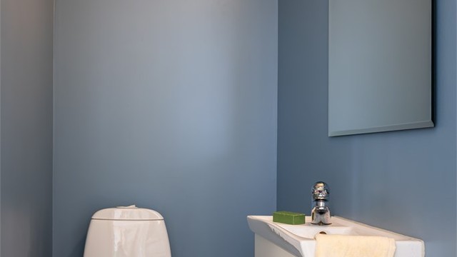 Delikat wc med enkel innredning.