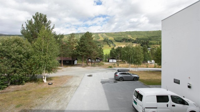 Felles parkeringsplasser på sameiets tomt