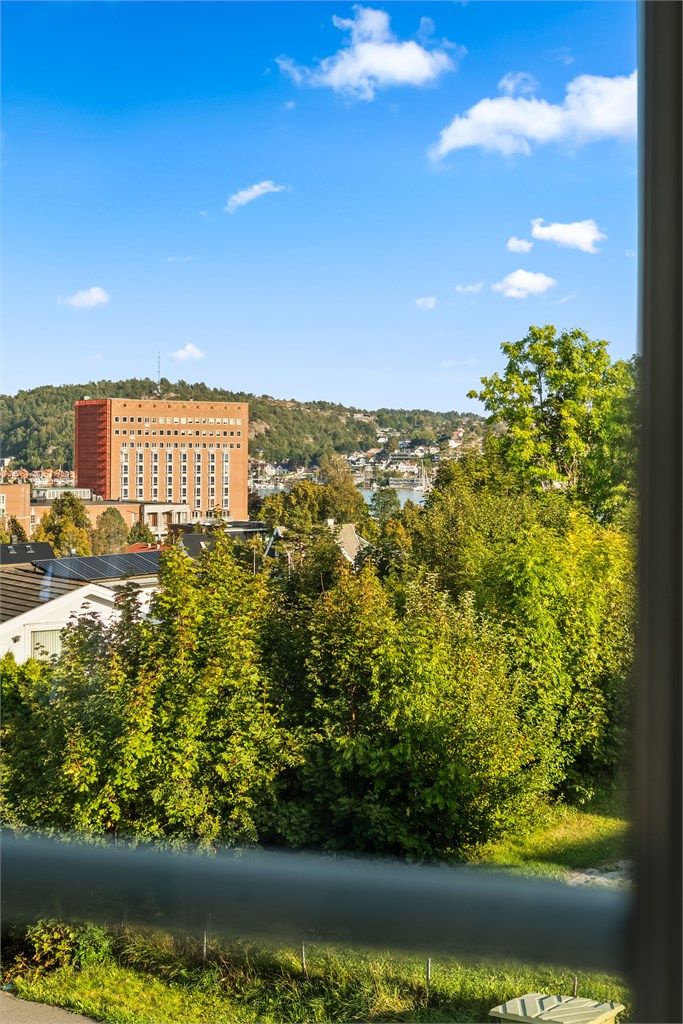 Flott utsyn mot byen, Indre Havn og Park Hotell.