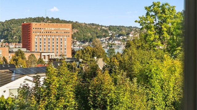 Flott utsyn mot byen, Indre Havn og Park Hotell.