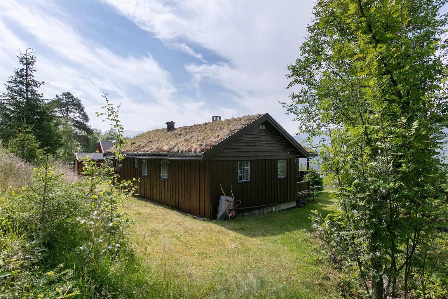 Hytta ligger på en lett skrånet tomt med gressplen og naturtomt.