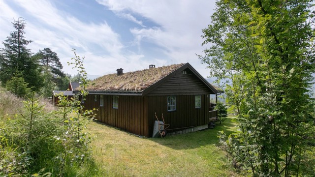Hytta ligger på en lett skrånet tomt med gressplen og naturtomt.