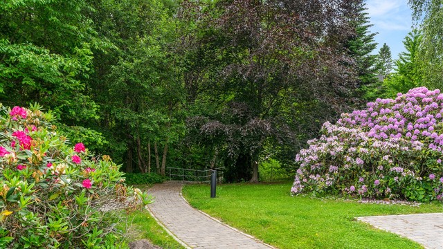 Leiligheten ligger tilbaketrukket i hjertet av Ingierkollen, med pent opparbeidete fellesarealer med gressplen, flott beplantning, sittegrupper, etc