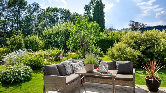 Flotte grønne omgivelser rundt terrassen