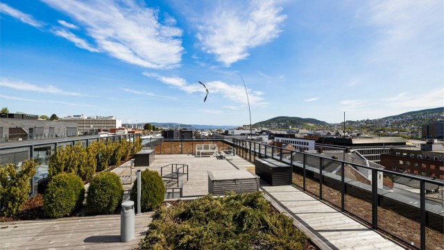 Felles takterrasse.