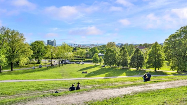 Leiligheten har en attraktiv beliggenhet på Carl Berner/Ola Narr. Her fra Tøyenparken som er en forlengelse av Ola Narr.