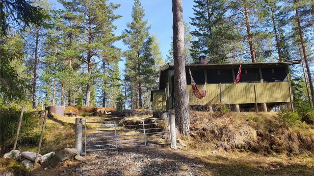 Liten hytte i skogsterreng med gode solforhold beliggende fredelig til på Skjølsetra. Behov for full renovering.