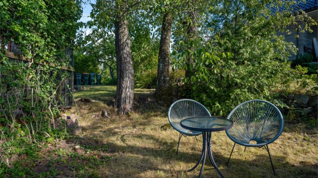 Skjermet hagehjørne – en rolig plass hvor du kan nyte stillhet og grønt rundt deg.