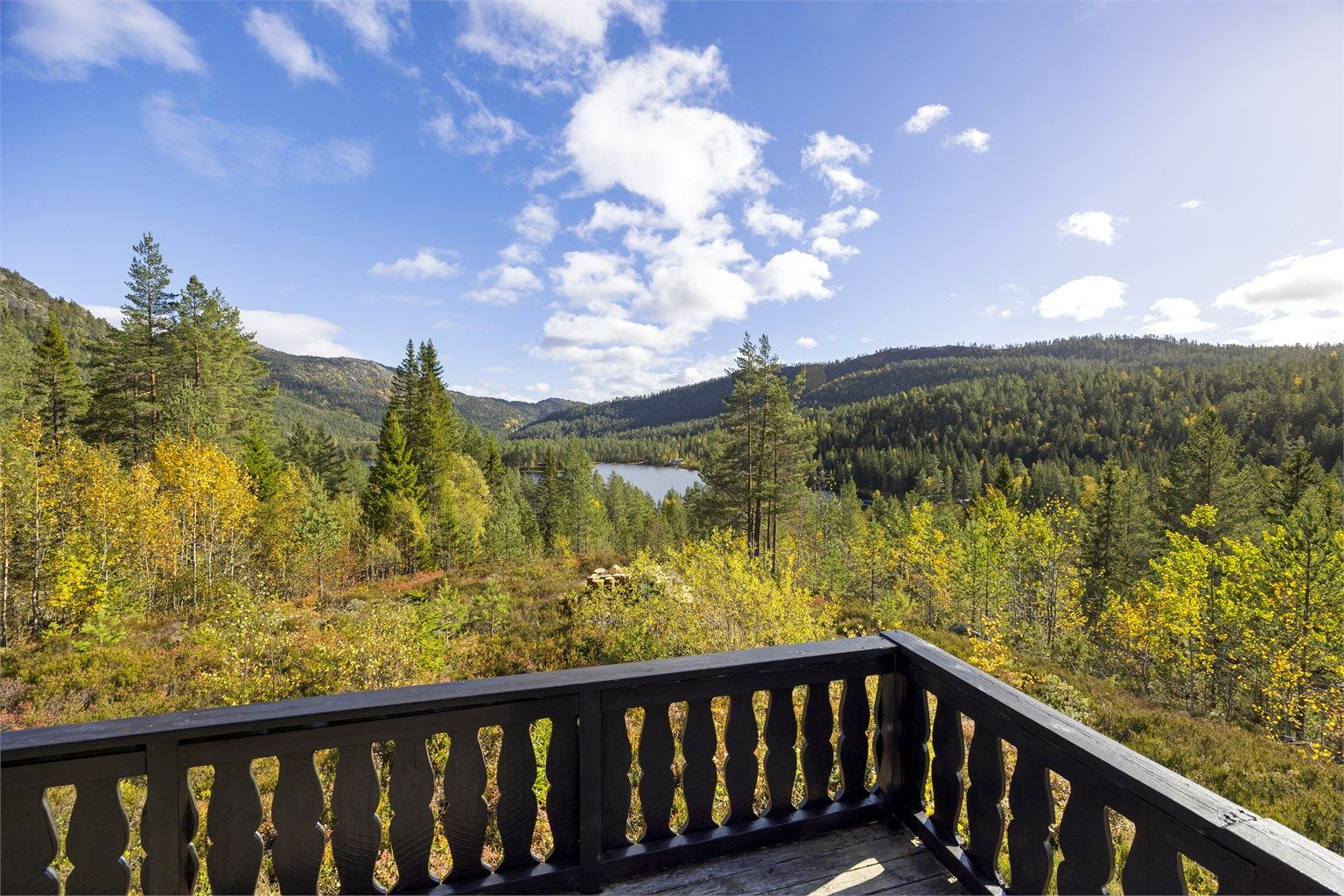 Flott utsyn over skogsterrenget og vannet fra terrassen.