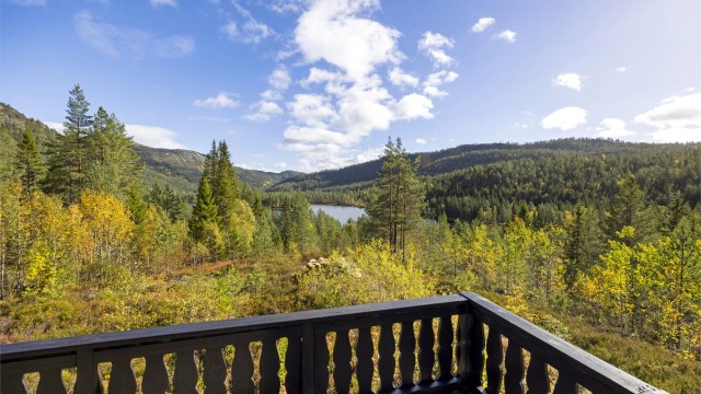 Flott utsyn over skogsterrenget og vannet fra terrassen.