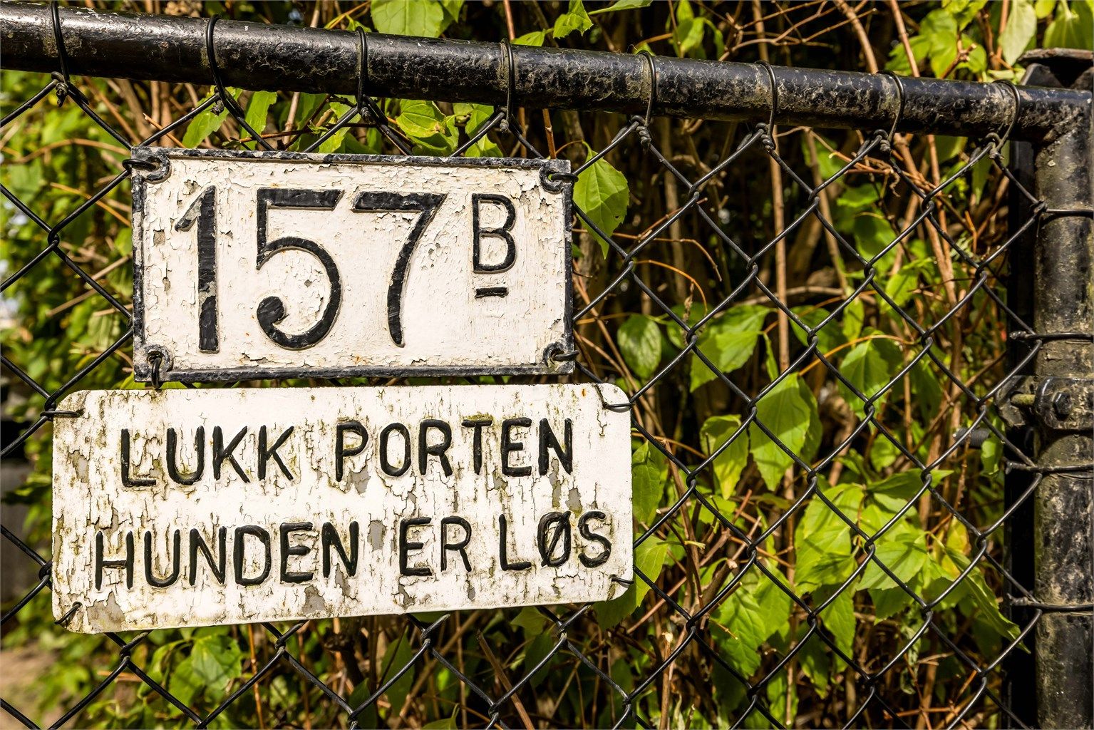 Trygg og skjermet tomt med port inn til eiendommen.