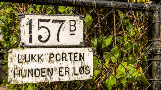 Trygg og skjermet tomt med port inn til eiendommen.